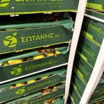 ΧΟΝΔΡΙΚΟ-ΕΜΠΟΡΙΟ-ΟΠΩΡΟΚΗΠΕΥΤΙΚΩΝ-ΑΡΤΑ-ΣΩΤΑΚΗΣ