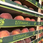 ΧΟΝΔΡΙΚΟ-ΕΜΠΟΡΙΟ-ΟΠΩΡΟΚΗΠΕΥΤΙΚΩΝ-ΑΡΤΑ-ΣΩΤΑΚΗΣ