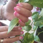 ΜΑΝΙΚΙΟΥΡ-ΠΕΝΤΙΚΙΟΥΡ-ΧΑΛΚΙΔΑ-ΟΜΟΡΦΑ-ΝΥΧΙΑ-ΑΪΒΑΛΙΩΤΗ