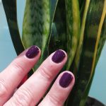 ΜΑΝΙΚΙΟΥΡ-ΠΕΝΤΙΚΙΟΥΡ-ΧΑΛΚΙΔΑ-ΟΜΟΡΦΑ-ΝΥΧΙΑ-ΑΪΒΑΛΙΩΤΗ