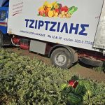 ΟΠΩΡΟΚΗΠΕΥΤΙΚΑ-ΧΑΛΚΙΔΑ-ΦΡΟΥΤΕΜΠΟΡΙΚΗ-ΧΑΛΚΙΔΑΣ-ΤΖΙΡΤΖΙΛΗΣ