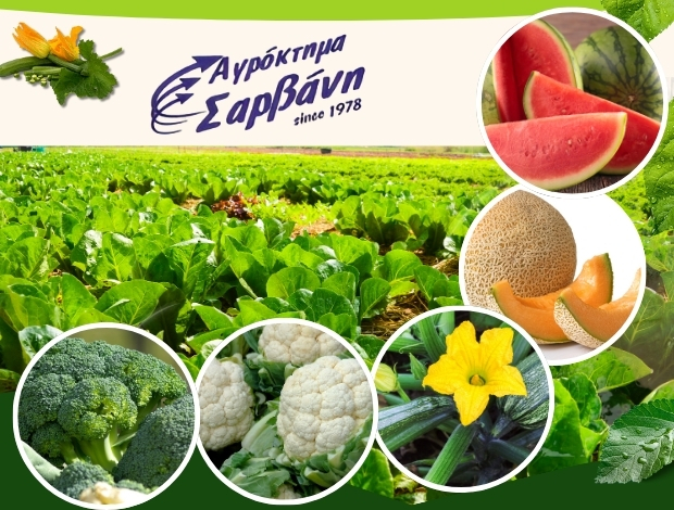 ΠΑΡΑΓΩΓΗ ΦΡΟΥΤΩΝ ΛΑΧΑΝΙΚΩΝ  ΑΘΥΡΑ ΠΕΛΛΑΣ  “ΑΓΡΟΚΤΗΜΑ ΣΑΡΒΑΝΗ”  ΣΑΡΒΑΝΗΣ ΛΑΖΑΡΟΣ & ΣΙΑ ΟΕ