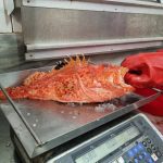 ΨΑΡΟΤΑΒΕΡΝΑ-ΜΠΟΥΚΑΡΗΣ-ΛΕΥΚΙΜΜΗΣ-BOUKARIS-KARIDIS-SPIROS