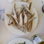 ΨΑΡΟΤΑΒΕΡΝΑ-ΜΠΟΥΚΑΡΗΣ-ΛΕΥΚΙΜΜΗΣ-BOUKARIS-KARIDIS-SPIROS