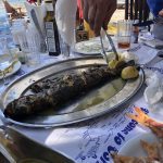 ΨΑΡΟΤΑΒΕΡΝΑ-ΜΠΟΥΚΑΡΗΣ-ΛΕΥΚΙΜΜΗΣ-BOUKARIS-KARIDIS-SPIROS