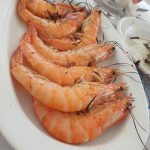 ΨΑΡΟΤΑΒΕΡΝΑ-ΜΥΤΙΚΑΣ-ΜΟΥΡΑΓΙΟ-ΠΑΒΕΛΗΣ