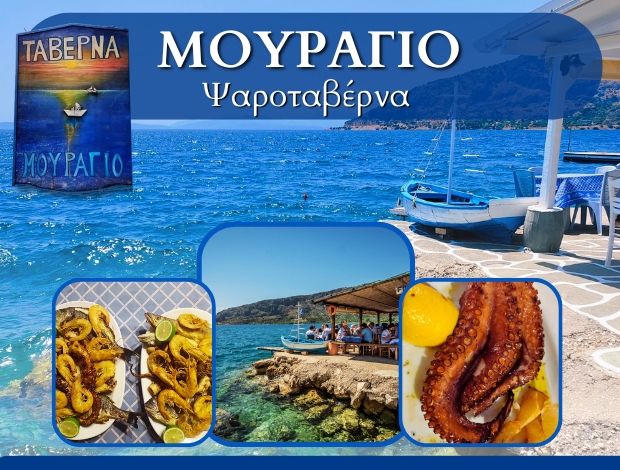 ΨΑΡΟΤΑΒΕΡΝΑ ΜΥΤΙΚΑΣ “ΜΟΥΡΑΓΙΟ” ΠΑΒΕΛΗΣ ΔΗΜΗΤΡΙΟΣ
