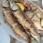 ΨΑΡΟΤΑΒΕΡΝΑ-ΠΑΡΑΛΙΑ-ΜΥΡΩΔΑΤΟΥ-ΞΑΝΘΗ-Η-ΣΟΥΠΙΑ