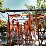 ΨΑΡΟΤΑΒΕΡΝΑ-ΠΑΡΑΛΙΑ-ΜΥΡΩΔΑΤΟΥ-ΞΑΝΘΗ-Η-ΣΟΥΠΙΑ