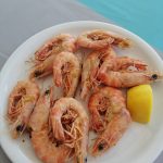 ΨΑΡΟΤΑΒΕΡΝΑ-ΠΑΡΑΛΙΑ-ΜΥΡΩΔΑΤΟΥ-ΞΑΝΘΗ-Η-ΣΟΥΠΙΑ