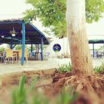 ΨΑΡΟΤΑΒΕΡΝΑ-ΠΑΡΑΛΙΑ-ΜΥΡΩΔΑΤΟΥ-ΞΑΝΘΗ-Η-ΣΟΥΠΙΑ