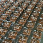 ΑΡΤΟΖΑΧΑΡΟΠΛΑΣΤΕΙΟ-ΝΑΥΠΑΚΤΟΣ-ΑΡΤΟΠΟΙΕΙΟ-ΚΥΡΙΤΣΗΣ