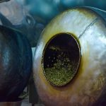 ΕΠΕΞΕΡΓΑΣΙΑ-ΞΗΡΩΝ-ΚΑΡΠΩΝ-ΚΡΕΣΤΕΝΑ-DRY-NUTS-KOUIS