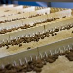 ΕΠΕΞΕΡΓΑΣΙΑ-ΞΗΡΩΝ-ΚΑΡΠΩΝ-ΚΡΕΣΤΕΝΑ-DRY-NUTS-KOUIS