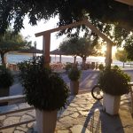 ΕΣΤΙΑΤΟΡΙΟ-ΓΛΥΦΑΔΑ-ΦΩΚΙΔΑΣ-ΕΥΚΑΛΥΠΤΟΣ-ΑΓΟΥΡΙΔΗΣ