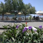 ΕΣΤΙΑΤΟΡΙΟ-ΓΛΥΦΑΔΑ-ΦΩΚΙΔΑΣ-ΕΥΚΑΛΥΠΤΟΣ-ΑΓΟΥΡΙΔΗΣ