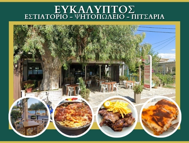 ΕΣΤΙΑΤΟΡΙΟ ΓΛΥΦΑΔΑ ΦΩΚΙΔΑΣ “ΕΥΚΑΛΥΠΤΟΣ” ΑΓΟΥΡΙΔΗΣ ΑΓΓΕΛΟΣ
