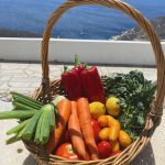 ΕΣΤΙΑΤΟΡΙΟ-ΥΣΤΕΡΝΙΑ-ΤΗΝΟΣ-ΦΟΥ-ΦΟΥ