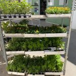 ΓΕΩΡΓΙΚΑ-ΕΦΟΔΙΑ-ΚΑΤΩ-ΠΟΡΤΑ-ΧΙΟΣ-AGROMASTIC