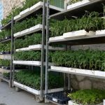 ΓΕΩΡΓΙΚΑ-ΕΦΟΔΙΑ-ΚΑΤΩ-ΠΟΡΤΑ-ΧΙΟΣ-AGROMASTIC