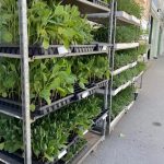 ΓΕΩΡΓΙΚΑ-ΕΦΟΔΙΑ-ΚΑΤΩ-ΠΟΡΤΑ-ΧΙΟΣ-AGROMASTIC