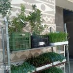 ΓΕΩΡΓΙΚΑ-ΕΦΟΔΙΑ-ΚΑΤΩ-ΠΟΡΤΑ-ΧΙΟΣ-AGROMASTIC