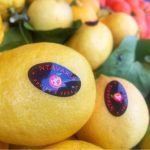 ΧΟΝΔΡΙΚΟ-ΕΜΠΟΡΙΟ-ΟΠΩΡΟΚΗΠΕΥΤΙΚΩΝ-ΝΤΑΒΑΚΗΣ