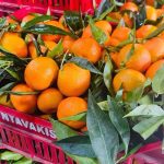 ΧΟΝΔΡΙΚΟ-ΕΜΠΟΡΙΟ-ΟΠΩΡΟΚΗΠΕΥΤΙΚΩΝ-ΝΤΑΒΑΚΗΣ