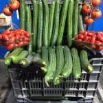 ΧΟΝΔΡΙΚΟ-ΕΜΠΟΡΙΟ-ΟΠΩΡΟΚΗΠΕΥΤΙΚΩΝ-ΝΤΑΒΑΚΗΣ