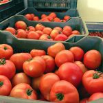 ΧΟΝΔΡΙΚΟ-ΕΜΠΟΡΙΟ-ΟΠΩΡΟΚΗΠΕΥΤΙΚΩΝ-ΝΤΑΒΑΚΗΣ