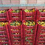 ΧΟΝΔΡΙΚΟ-ΕΜΠΟΡΙΟ-ΟΠΩΡΟΚΗΠΕΥΤΙΚΩΝ-ΝΤΑΒΑΚΗΣ