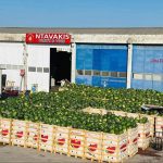 ΧΟΝΔΡΙΚΟ-ΕΜΠΟΡΙΟ-ΟΠΩΡΟΚΗΠΕΥΤΙΚΩΝ-ΝΤΑΒΑΚΗΣ