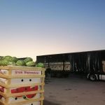 ΧΟΝΔΡΙΚΟ-ΕΜΠΟΡΙΟ-ΟΠΩΡΟΚΗΠΕΥΤΙΚΩΝ-ΝΤΑΒΑΚΗΣ