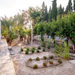 ΚΑΤΑΣΚΕΥΗ-ΚΗΠΩΝ-ΘΕΣΣΑΛΟΝΙΚΗ-ΜΠΑΛΟΥΤΟΓΛΟΥ