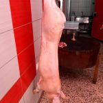 ΚΡΕΟΠΩΛΕΙΟ-ΑΝΔΡΑΒΙΔΑ-ΗΛΕΙΑΣ-ΦΑΡΜΑ-ΗΛΙΟΠΟΥΛΟΣ