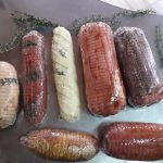 ΚΡΕΟΠΩΛΕΙΟ-ΠΟΡΤΙΑΝΟ-ΛΗΜΝΟΣ-ΝΤΑΝΤΟΥ-ΜΑΛΑΜΑ