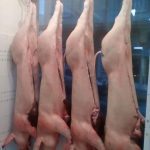 ΚΡΕΟΠΩΛΕΙΟ-ΣΚΑΛΑ-ΛΑΚΩΝΙΑΣ-ΧΟΥΜΠΑΥΛΗΣ