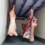 ΚΡΕΟΠΩΛΕΙΟ-ΣΚΑΛΑ-ΛΑΚΩΝΙΑΣ-ΧΟΥΜΠΑΥΛΗΣ