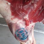 ΚΡΕΟΠΩΛΕΙΟ-ΣΚΑΛΑ-ΛΑΚΩΝΙΑΣ-ΧΟΥΜΠΑΥΛΗΣ