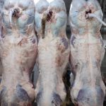 ΚΡΕΟΠΩΛΕΙΟ-ΣΚΑΛΑ-ΛΑΚΩΝΙΑΣ-ΧΟΥΜΠΑΥΛΗΣ