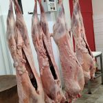 ΚΡΕΟΠΩΛΕΙΟ-ΣΚΑΛΑ-ΛΑΚΩΝΙΑΣ-ΧΟΥΜΠΑΥΛΗΣ