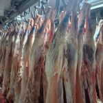 ΚΡΕΟΠΩΛΕΙΟ-ΣΚΑΛΑ-ΛΑΚΩΝΙΑΣ-ΧΟΥΜΠΑΥΛΗΣ