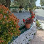 ΤΑΒΕΡΝΑ-ΚΑΜΑΡΑ-ΙΕΡΑΠΕΤΡΑ-Ο-ΓΙΑΝΝΑΚΟΣ-ΓΕΝΕΙΑΤΑΚΗΣ