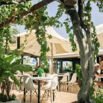 ΕΝΟΙΚΙΑΖΟΜΕΝΑ-ΔΙΑΜΕΡΙΣΜΑΤΑ-ΦΑΛΗΡΑΚΙ-ΡΟΔΟΣ-TSAMBIKOS-APTS