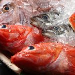 ΕΜΠΟΡΙΟ-ΦΡΕΣΚΩΝ-ΨΑΡΙΩΝ-ΝΕΑ-ΜΗΧΑΝΙΩΝΑ-TERRAMARESF