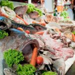 ΕΜΠΟΡΙΟ-ΦΡΕΣΚΩΝ-ΨΑΡΙΩΝ-ΝΕΑ-ΜΗΧΑΝΙΩΝΑ-TERRAMARESF