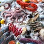 ΕΜΠΟΡΙΟ-ΦΡΕΣΚΩΝ-ΨΑΡΙΩΝ-ΝΕΑ-ΜΗΧΑΝΙΩΝΑ-TERRAMARESF