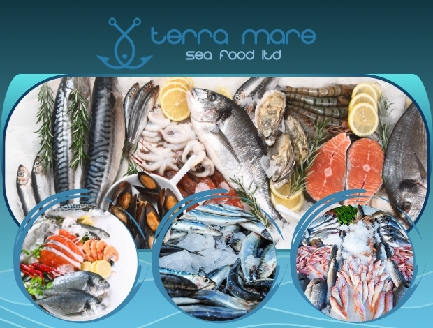 ΕΜΠΟΡΙΟ ΦΡΕΣΚΩΝ ΨΑΡΙΩΝ ΝΕΑ ΜΗΧΑΝΙΩΝΑ “TERRA MARE SEA FOOD LTD” ΘΕΟΔΩΡΙΔΗΣ ΓΕΩΡΓΙΟΣ