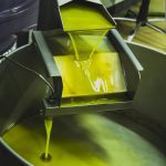 ΕΛΑΙΟΤΡΙΒΕΙΟ-ΠΑΡΟΣ-ΡΑΓΚΟΥΣΗΣ-ΡΑΓΚΟΥΣΗ