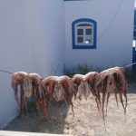 ΕΣΤΙΑΤΟΡΙΟ-ΚΕΦΑΛΟΣ-ΚΩΣ-STAMATIA-RESTAURANT